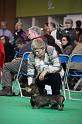 Crufts2011_2 842